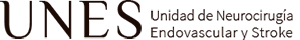 UNES Unidad de Neurocirugía Endovascular y Stroke